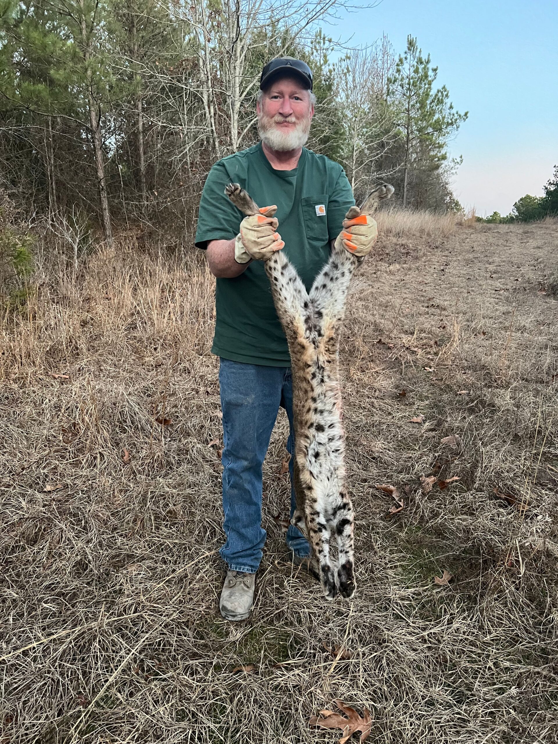 Predator Control Jeremy Bass with bobcat removal in Central Arkansas – Praiseworthy Wildlife Solutions
