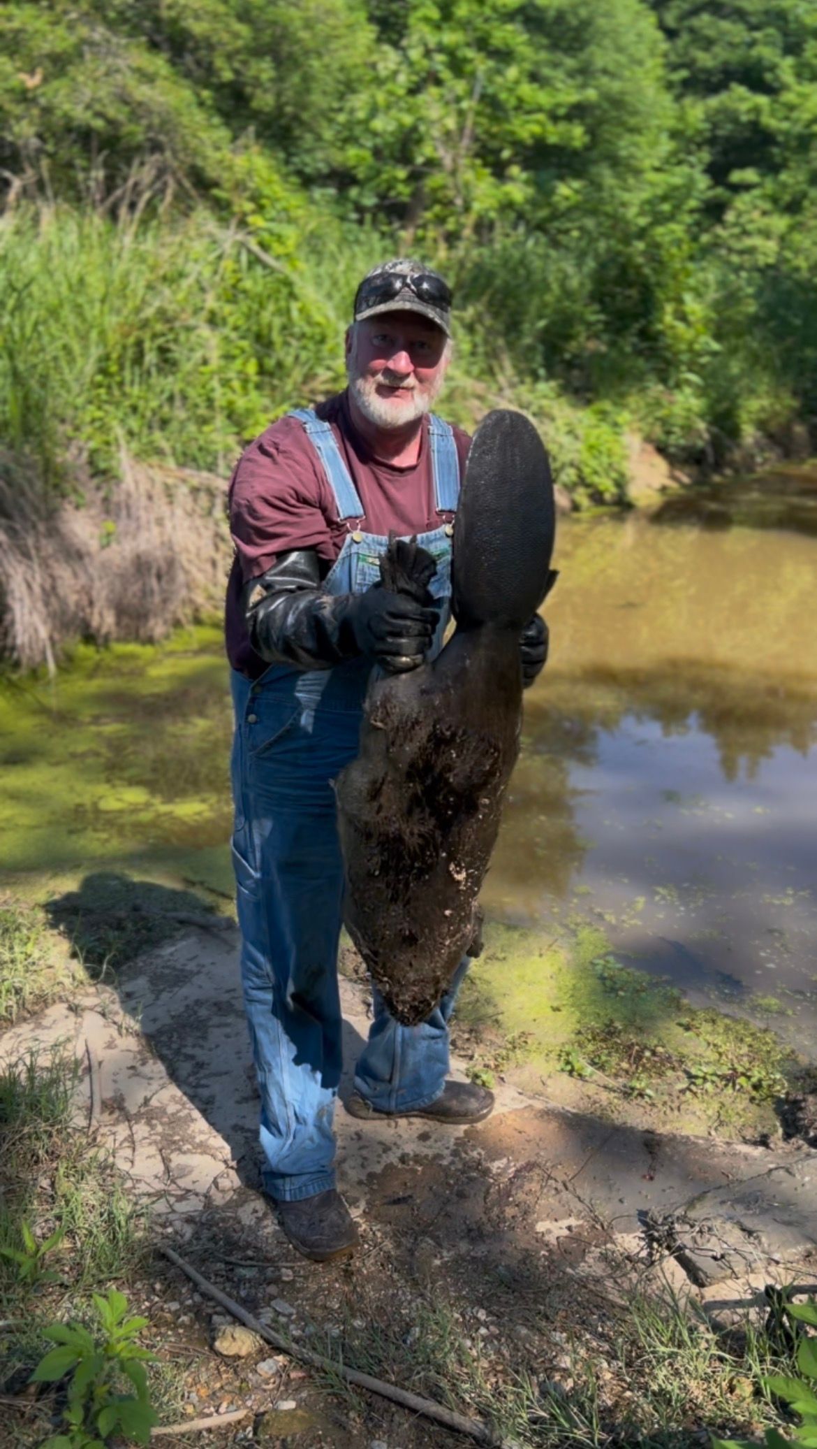 Beaver Removal & Trapping in Arkansas Jeremy Bass holding large beaver removed from Arkansas waterway – Praiseworthy Wildlife Solutions