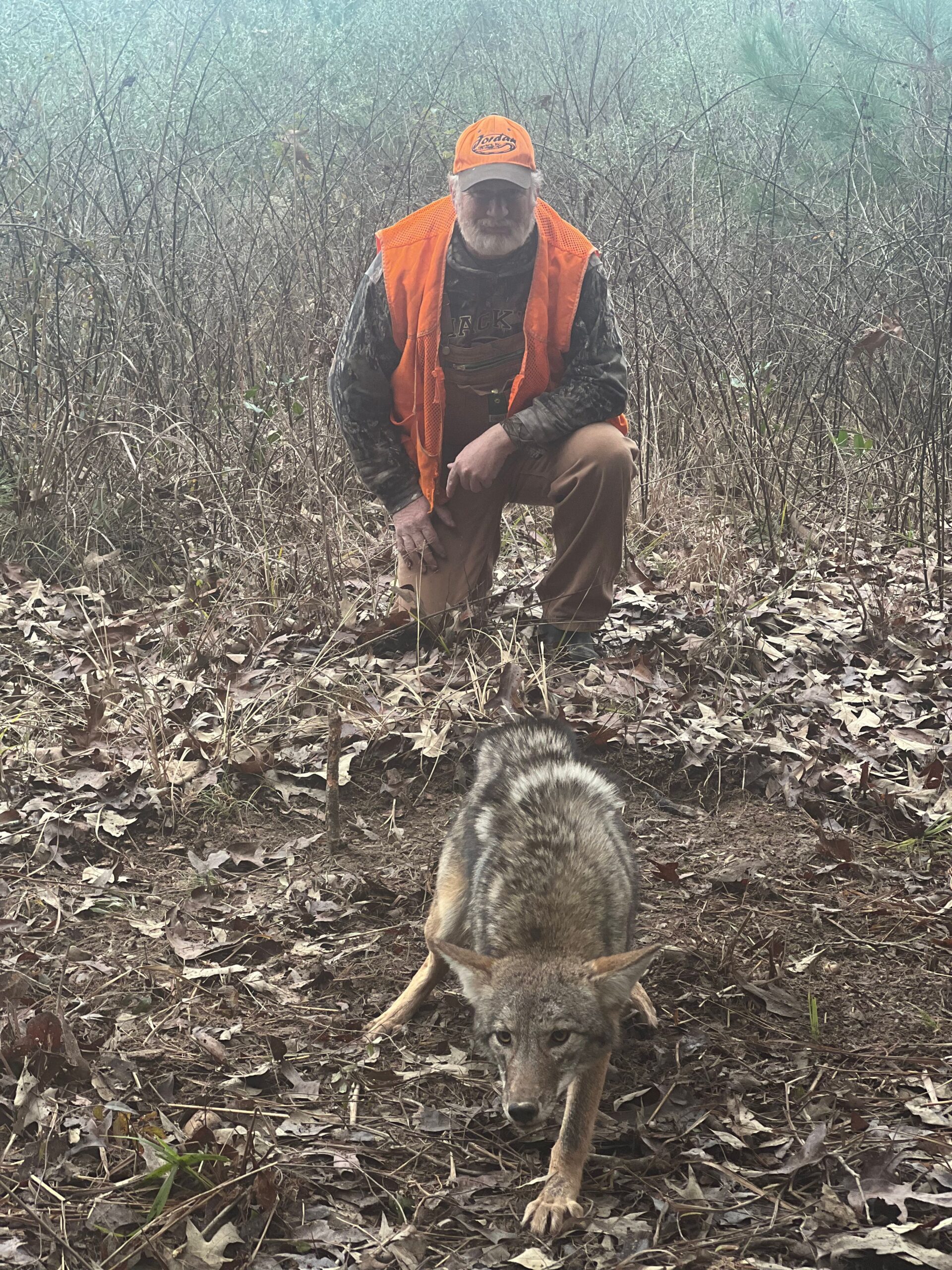 Predator Control Nuisance coyote removed from Arkansas property – Praiseworthy Wildlife Solutions